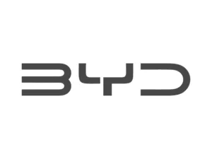 byd logo volk web